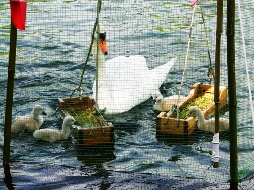 f0213825_8432992.jpg