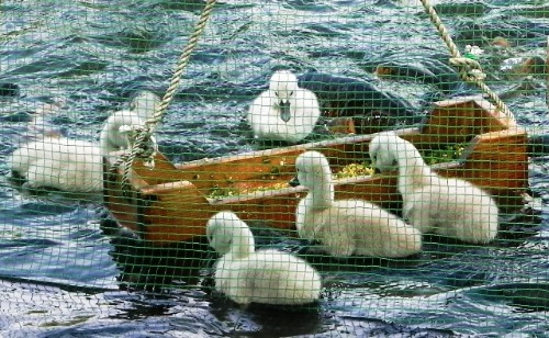 f0213825_8474063.jpg