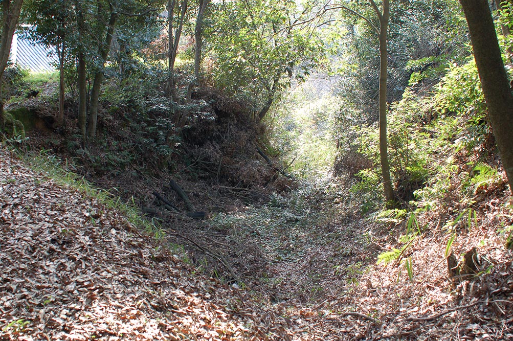 e0158128_20425734.jpg