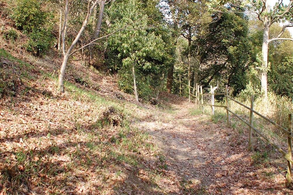 e0158128_20514319.jpg