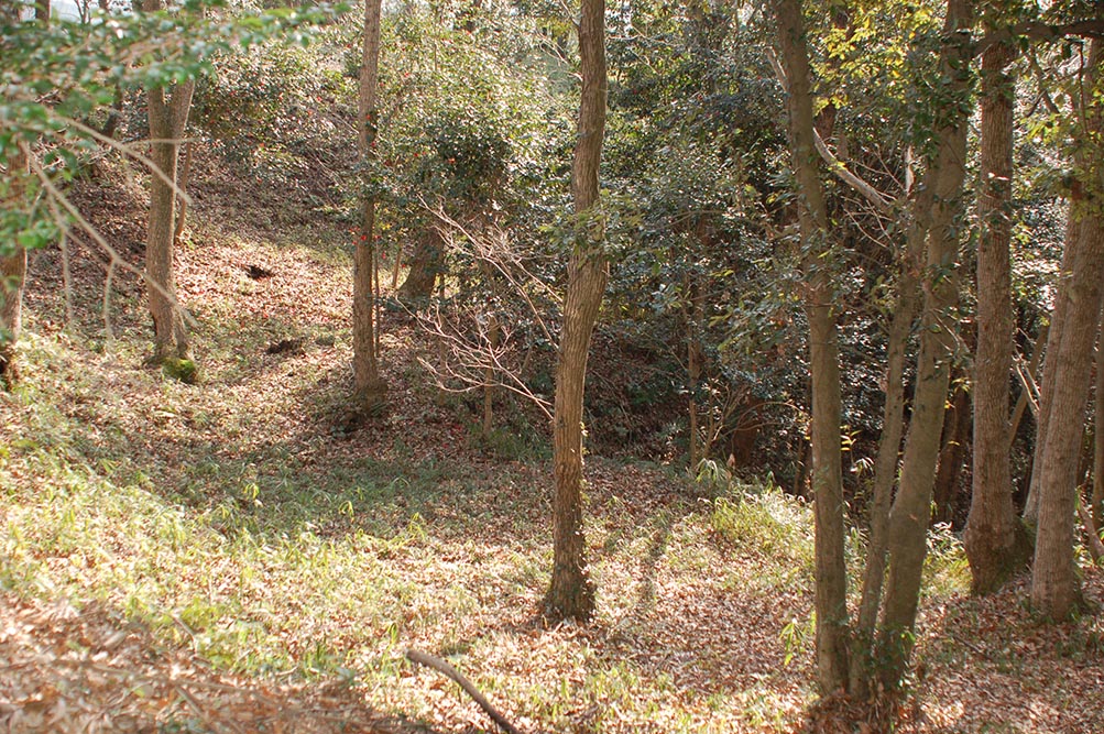 e0158128_2055169.jpg