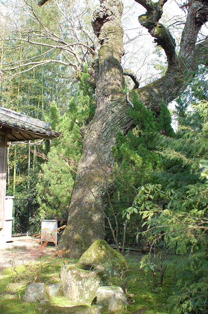 e0158128_216811.jpg