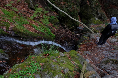 b0281732_16133019.jpg