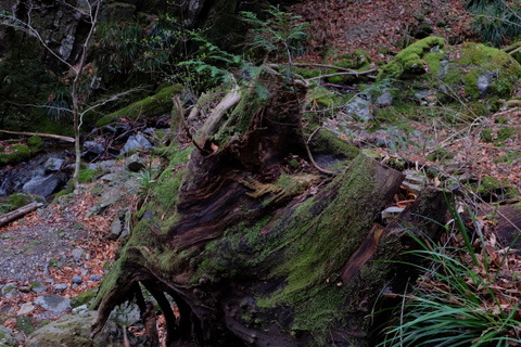 b0281732_16135142.jpg