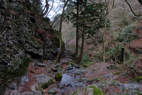 b0281732_1614208.jpg