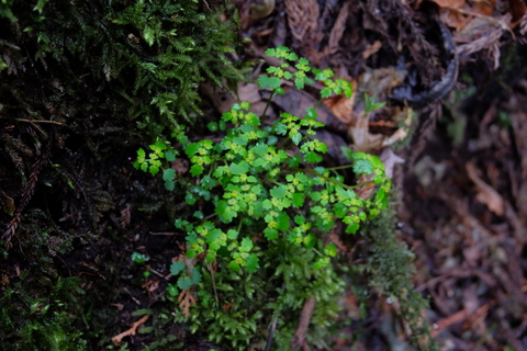 b0281732_16142754.jpg