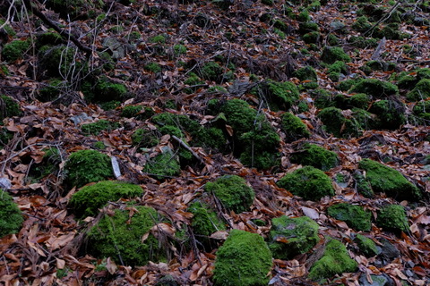 b0281732_16143489.jpg