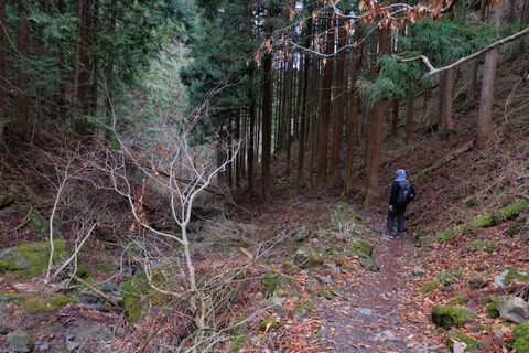 b0281732_16144267.jpg