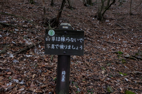 b0281732_16154029.jpg
