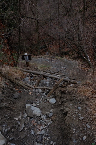 b0281732_16161936.jpg