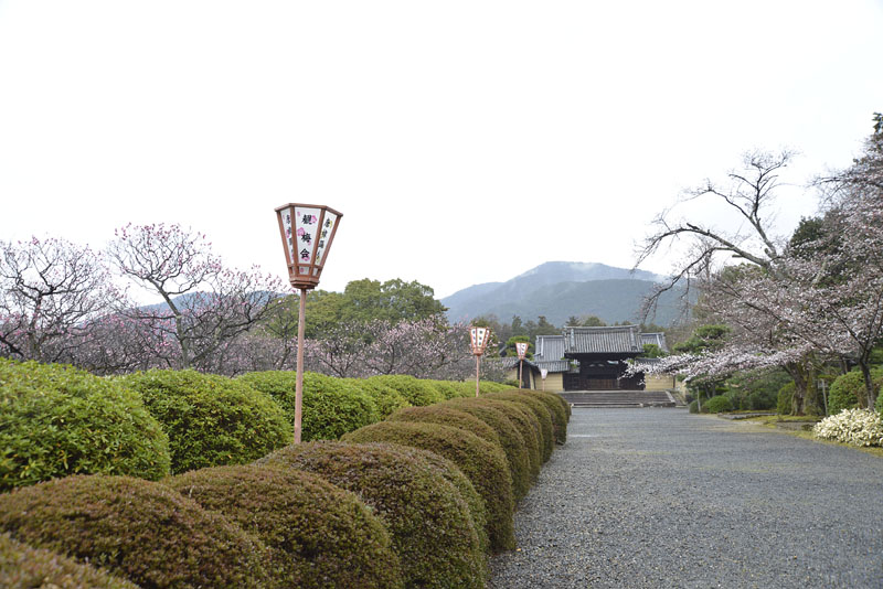 b0042837_4451012.jpg