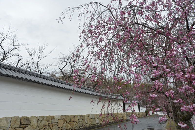 b0042837_4454569.jpg
