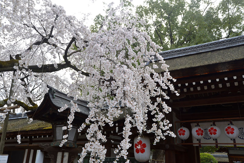 b0042837_4524060.jpg