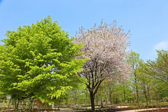 a0242438_19453086.jpg