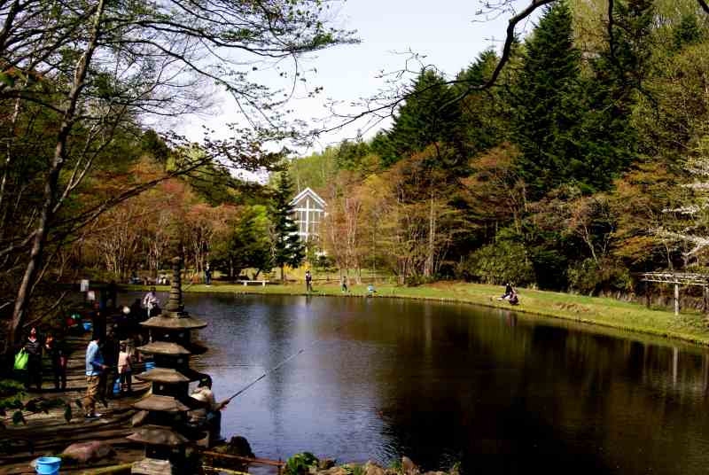 f0119643_19243246.jpg