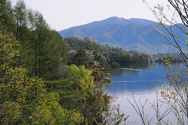 b0122448_11125056.jpg