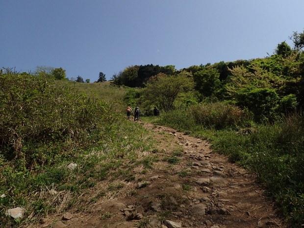 f0214649_4445363.jpg