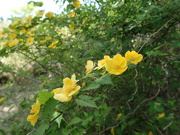 f0214649_451229.jpg