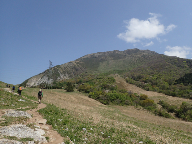 f0214649_4542359.jpg