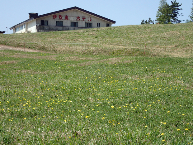 f0214649_4563467.jpg