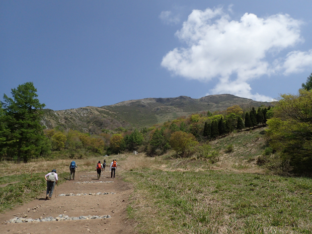 f0214649_531522.jpg