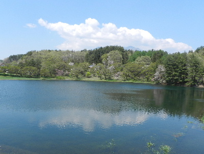 e0172950_8163728.jpg