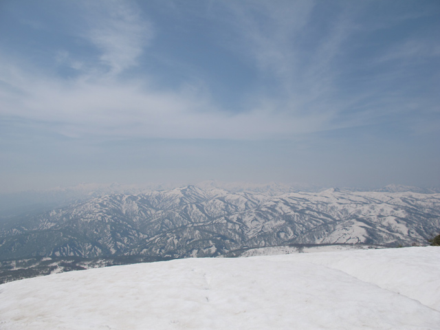 c0116856_2223543.jpg