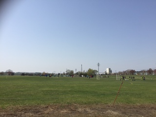 d0154957_16175911.jpg