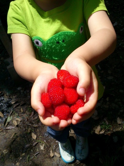f0201157_18032447.jpg