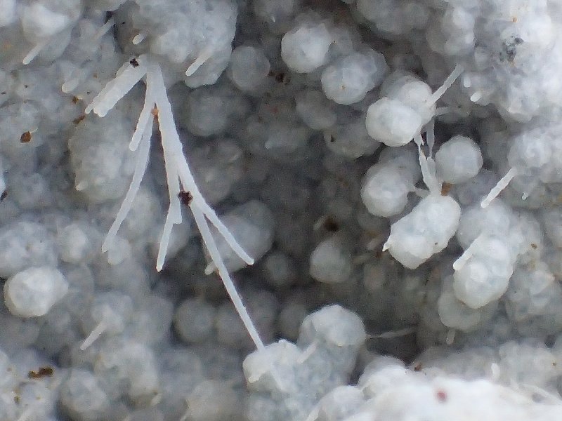 b0084270_1738072.jpg