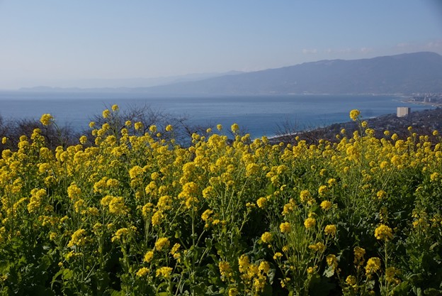 c0168984_20550524.jpg