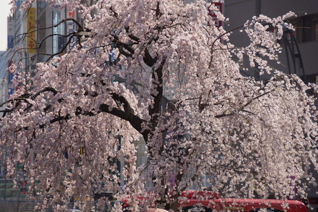 c0168984_20551669.jpg