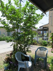 e0130185_11414049.jpg