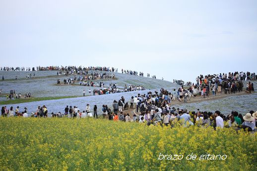 c0212987_1926722.jpg