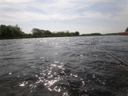 c0146788_10582641.jpg