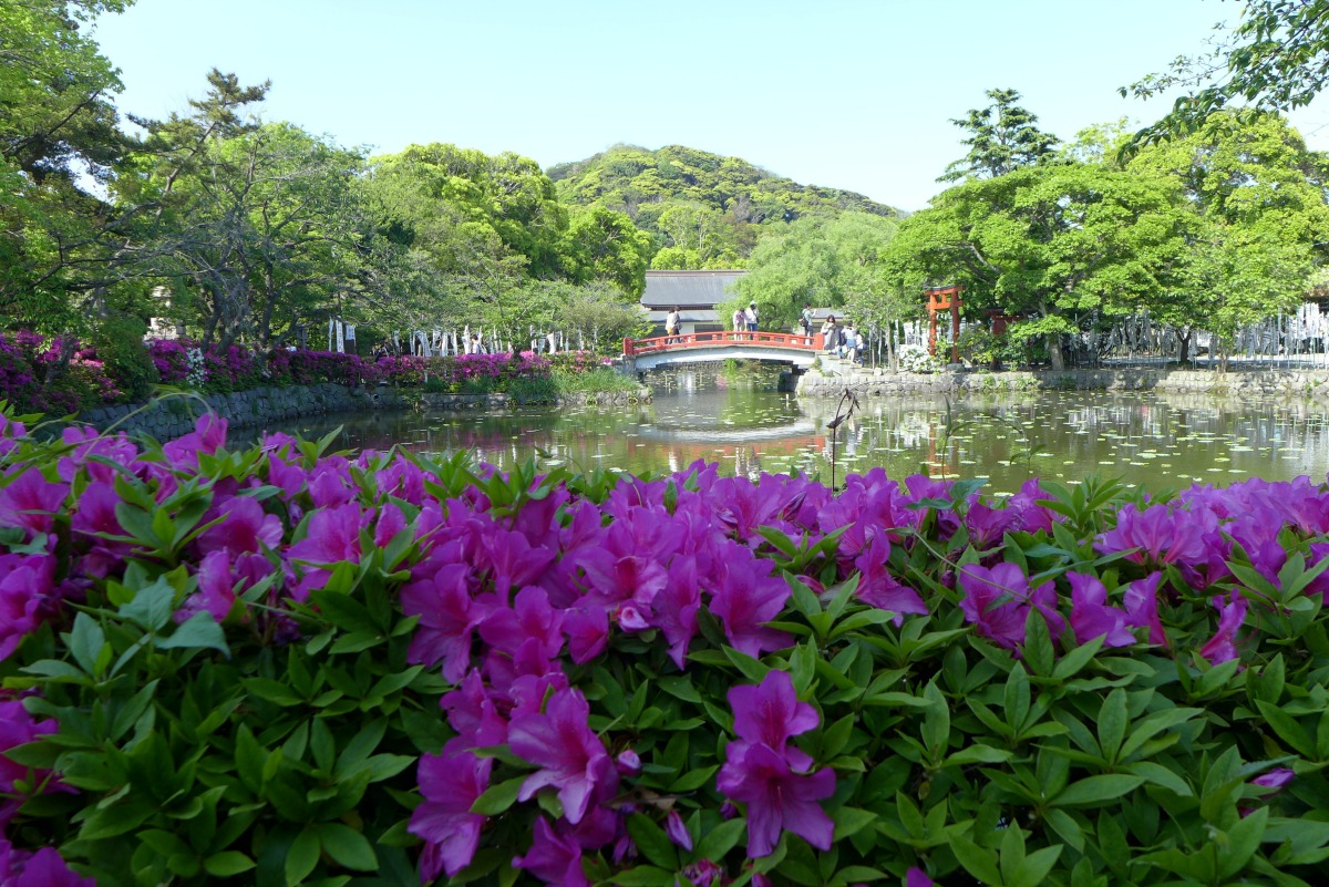 a0127090_234988.jpg