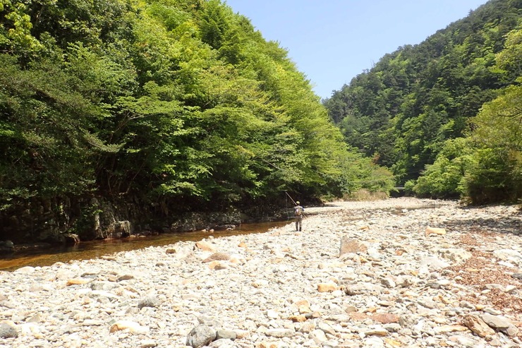 f0141392_20265726.jpg
