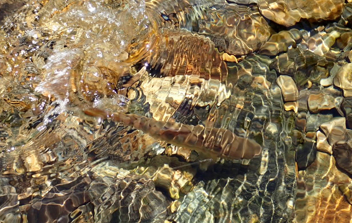 f0141392_20301861.jpg