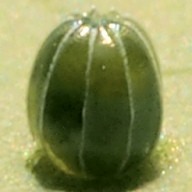 b0194593_5481194.jpg