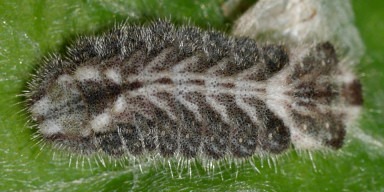 b0194593_5484026.jpg