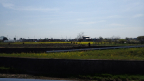 a0338094_03171051.jpg