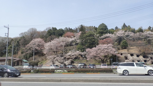 a0338094_03393608.jpg