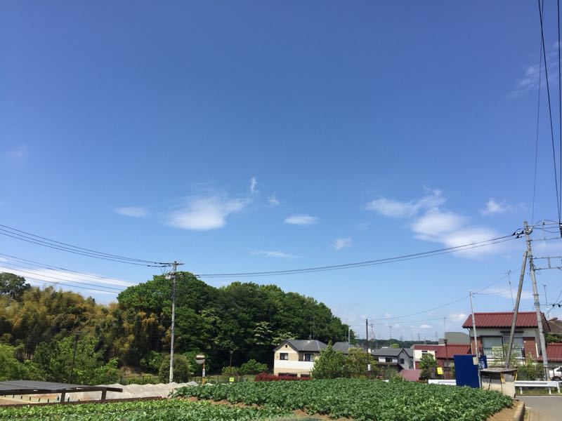 d0135694_12103456.jpg