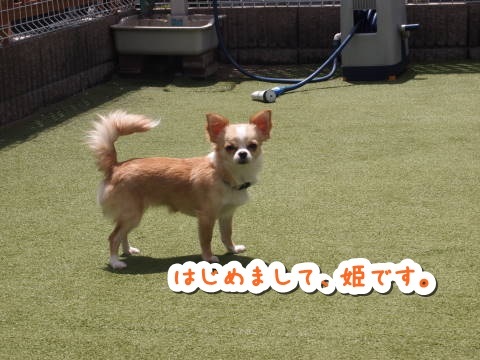 a0338800_20094039.jpg