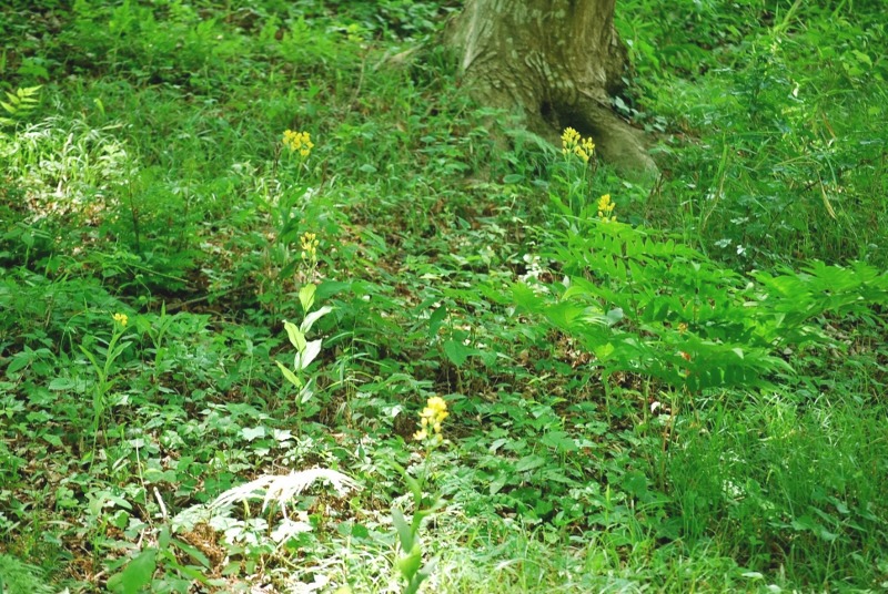 e0025300_16391260.jpg