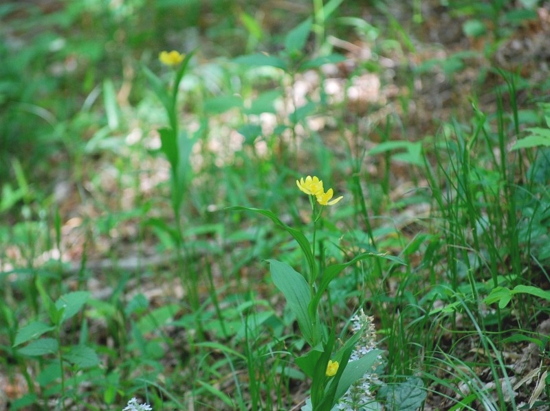 e0025300_16393391.jpg