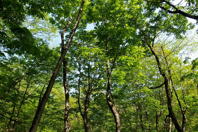 e0137200_16265587.jpg