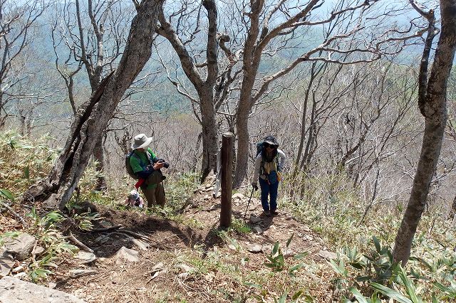 e0137200_16292019.jpg