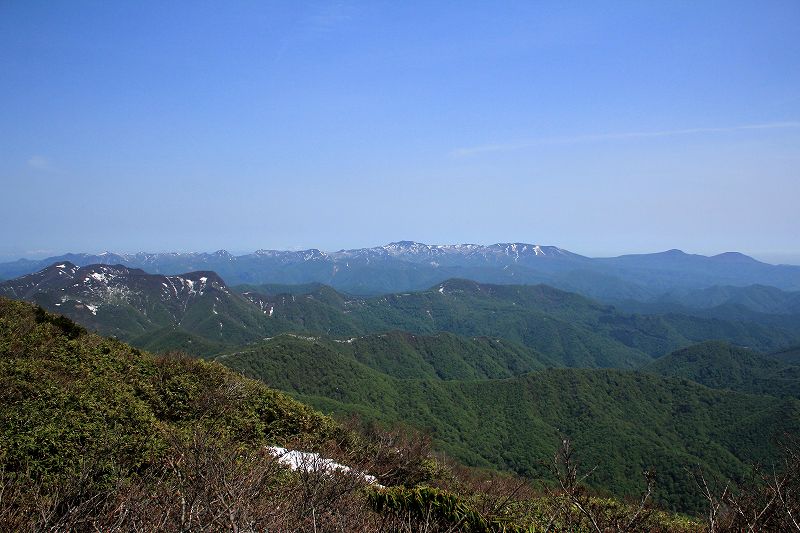 e0137200_1630563.jpg