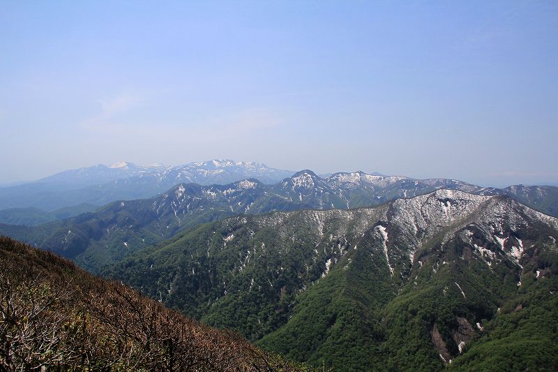 e0137200_1636264.jpg